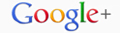 Google Plus logo for Testimonials Wrentham