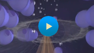 Video Gallery Wrentham - Neurodegeneration